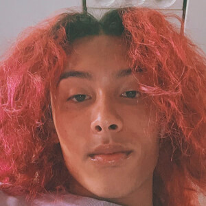 Sandor Walkup image 12