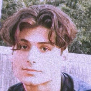 Santiago Armando image 3