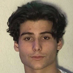 Santiago Armando image 4