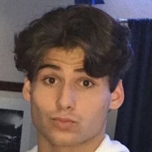 Santiago Armando image 7