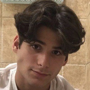 Santiago Armando image 8