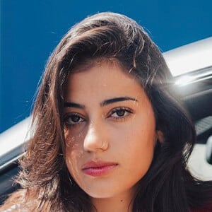 Sara Saffari image 6