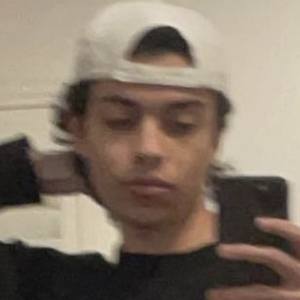 Saulsrevenge, 24 (TikTok Star)