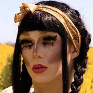 Scaredy Kat, 26 (现实之星)