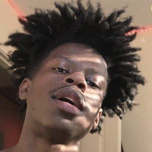 Schoollunchtray image 4