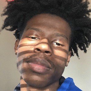 Schoollunchtray, 23 (TikTok Star)