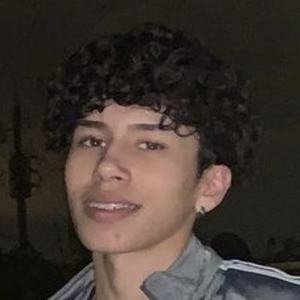 Sebastian Dietsch image 4