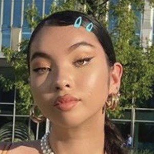 Selina Dreijer, 22 (TikTok明星)