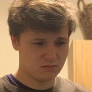 ShadowApples image 4