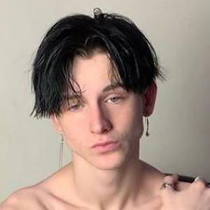 Shane Emmerson image 7