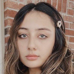 Shanti Gregg image 8