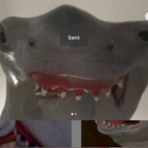 Shark Puppet image 7