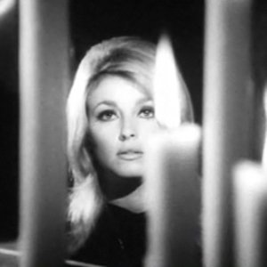 Sharon Tate (1943 - 1969) (Movie Actress)