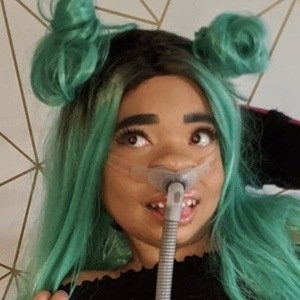 shelbykinsxo, 28 (TikTok Star)