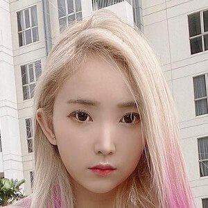 Sherlin Susanto image 5