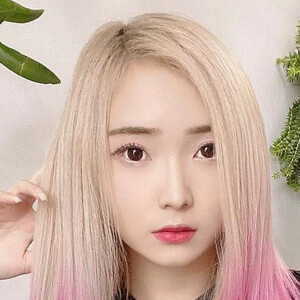 Sherlin Susanto image 8