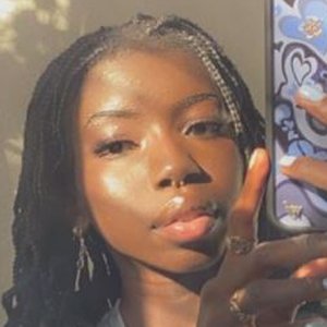 ShreksDumpster image 3