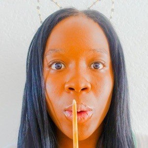 Shundara Castion image 7