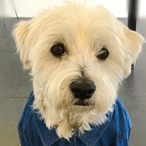 SigurdLovesMeat image 3