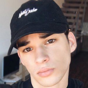 Somer Hollingsworth image 4