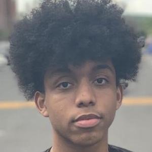 stackupquan image 8
