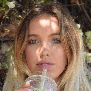 Stella Rae image 4