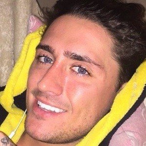 Stephen Bear image 3