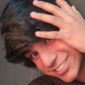 stephenlacorte, 23 (TikTok Star)