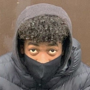 Stevanischo, 21 (TikTok明星)