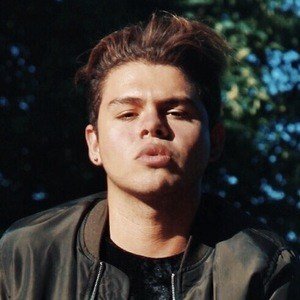 Steve Pérez image 3