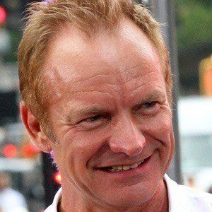 Sting image 3