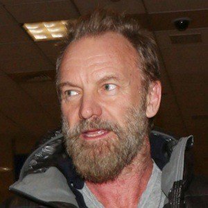 Sting image 4