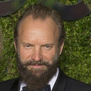 Sting image 5