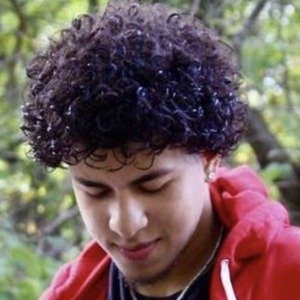 Suave Puntiel image 8