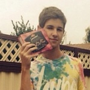 SunnyV2 image 7