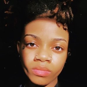 Taco Tarantino image 3