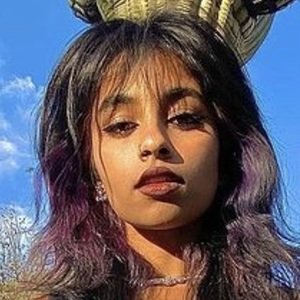 Tanya Ravichandran image 3