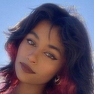 Tanya Ravichandran image 5