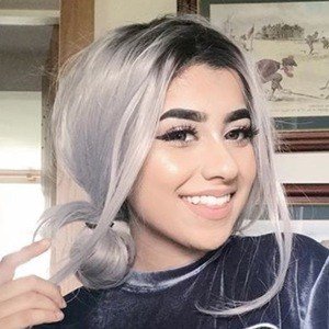 Tara Dawod image 4