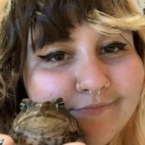 Tay Motheroffrogs image 2