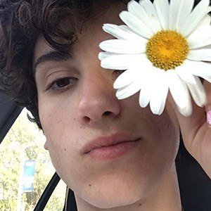 Teo Halm, 26 (Ator do Filme)