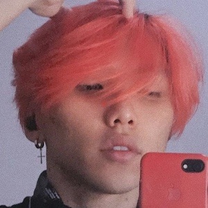 Teri Kim, 27 (TikTok明星)