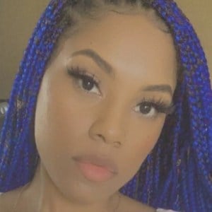 Terilisha image 3