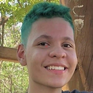 Thalys Vinicius image 5