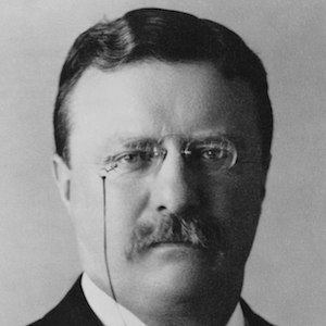 Theodore Roosevelt image 3