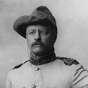 Theodore Roosevelt image 4