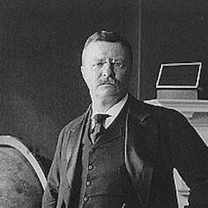 Theodore Roosevelt image 8