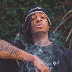 ThouxanBanFauni image 3