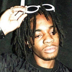 ThouxanBanFauni image 8