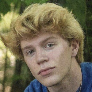 Tobias Phillips image 4